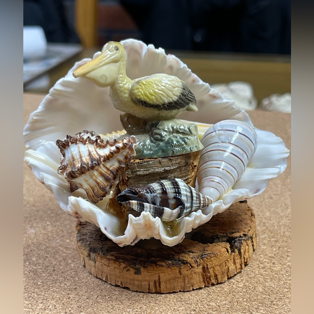Vintage seashell paperweight